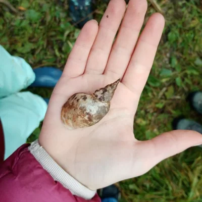 Foto des Albums: Projekttag Naturparkschule Fließgewässer