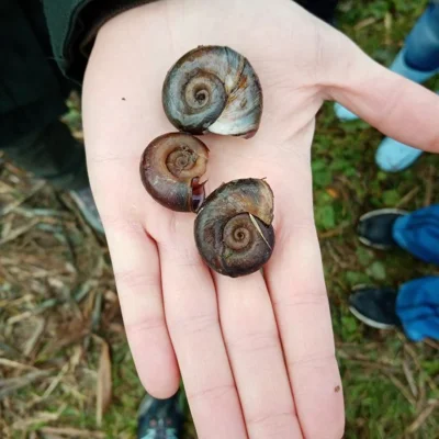 Foto des Albums: Projekttag Naturparkschule Fließgewässer