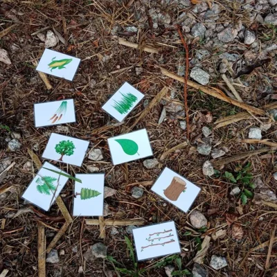 Foto des Albums: Projekttag Naturparkschule Fließgewässer