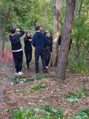 Fotoalbum Auf die Plätze, fertig, los – die 8b packt im Wald mit an!