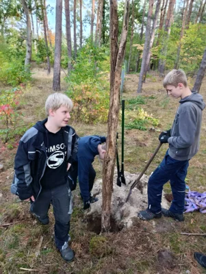 Foto des Albums: Auf die Plätze, fertig, los – die 8b packt im Wald mit an!