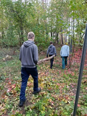 Foto des Albums: Auf die Plätze, fertig, los – die 8b packt im Wald mit an!