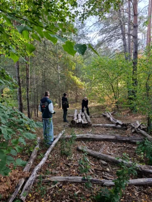Foto des Albums: Auf die Plätze, fertig, los – die 8b packt im Wald mit an!