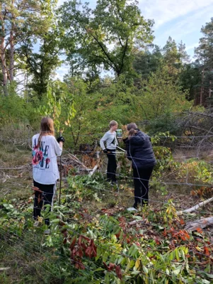 Foto des Albums: Auf die Plätze, fertig, los – die 8b packt im Wald mit an!