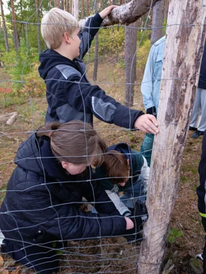 Foto des Albums: Auf die Plätze, fertig, los – die 8b packt im Wald mit an!
