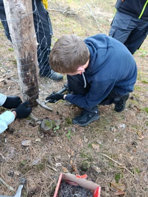 Foto des Albums: Auf die Plätze, fertig, los – die 8b packt im Wald mit an!
