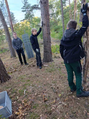 Foto des Albums: Auf die Plätze, fertig, los – die 8b packt im Wald mit an!