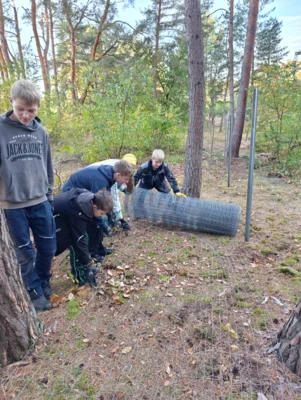 Foto des Albums: Auf die Plätze, fertig, los – die 8b packt im Wald mit an!