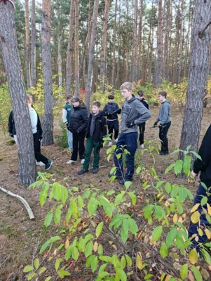 Foto des Albums: Auf die Plätze, fertig, los – die 8b packt im Wald mit an!