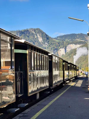 Foto des Albums: Jahresausflug 2026