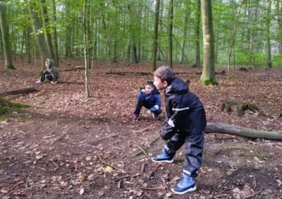 Vorschaubild: 20261015 Projekttag HWS Boye (13)
