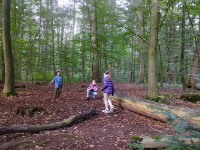 Vorschaubild: 20261015 Projekttag HWS Boye (14)
