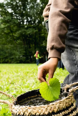 Vorschaubild: 20261001 Projekttag Moorflagen Steensen Bruder im Fokus (12)