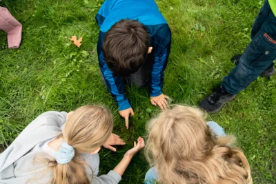 Vorschaubild: 20261001 Projekttag Moorflagen Steensen Bruder im Fokus (22)