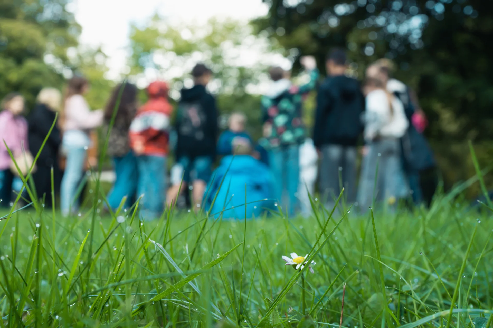 Bild: 20261002 Projekttag Moorflagen Giese Bruder im Fokus (12)
