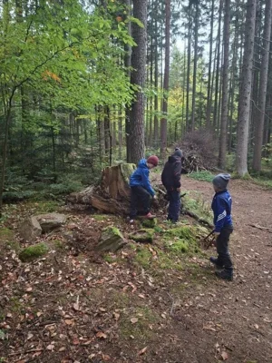 Foto des Albums: Waldaktionstag der 3. Klasse