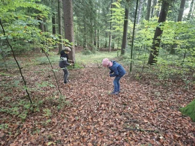 Foto des Albums: Waldaktionstag der 3. Klasse
