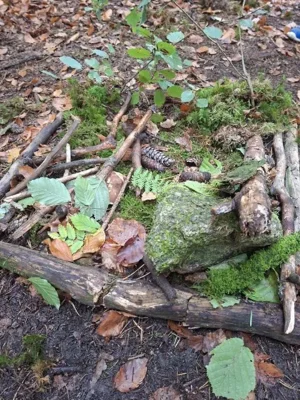 Foto des Albums: Waldaktionstag der 3. Klasse