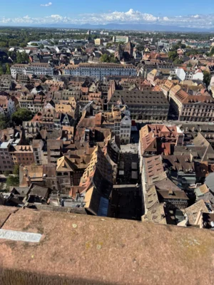 Blick auf die Altstadt von der M&uuml;nster-Plattform  (Bild vergr&ouml;&szlig;ern)