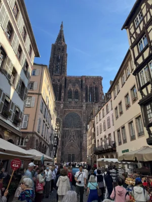 Blick auf das Stra&szlig;burger M&uuml;nster  (Bild vergr&ouml;&szlig;ern)