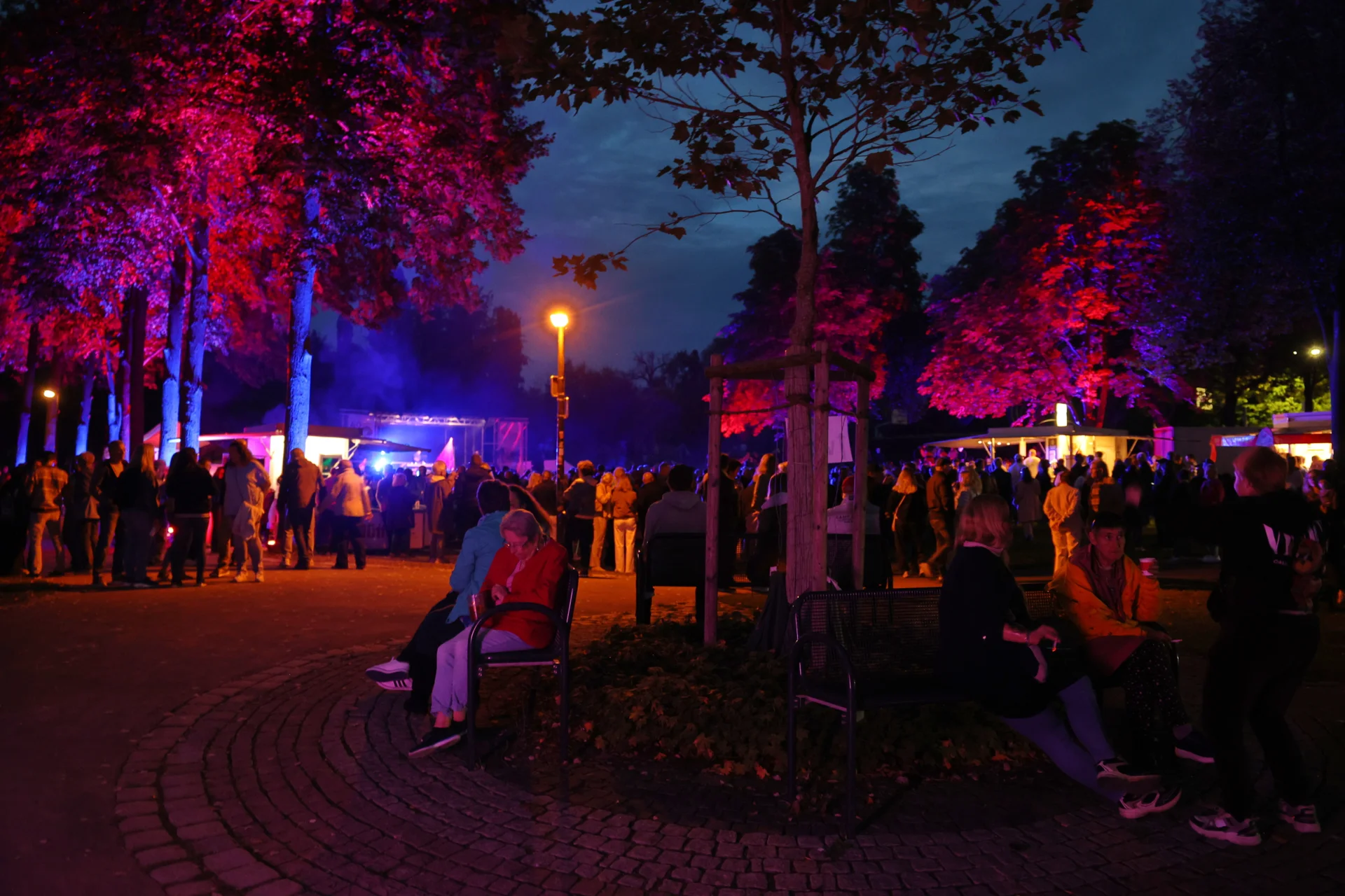 Bild der Galerie