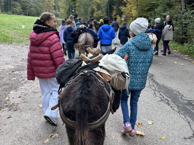 Bild: Kinder beim Eseltrekking