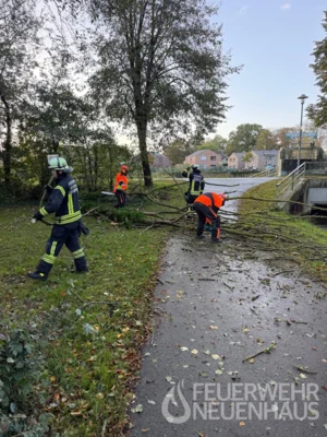 Foto des Albums: 2026-10-25_baum-dinkelwehr