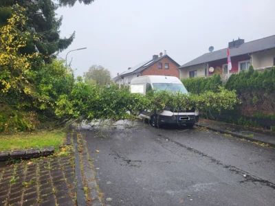 Foto des Albums: 20261025 Einsatz H 1 Bäume Sturmtief Manja