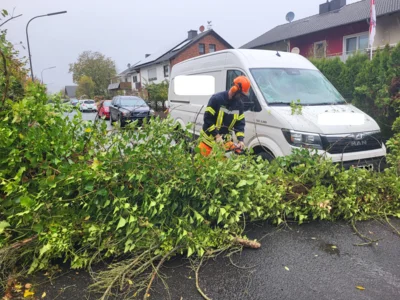Foto des Albums: 20261025 Einsatz H 1 Bäume Sturmtief Manja