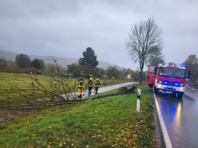 Foto des Albums: 20261025 Einsatz H 1 Bäume Sturmtief Manja