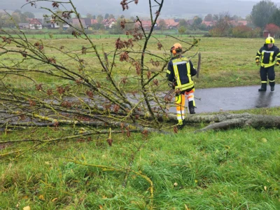 Foto des Albums: 20261025 Einsatz H 1 Bäume Sturmtief Manja