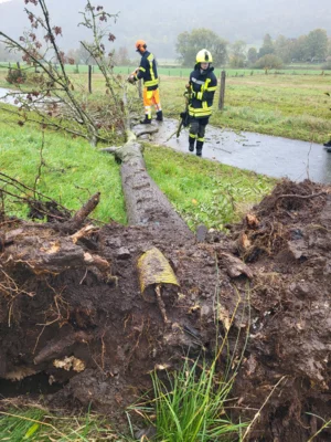 Foto des Albums: 20261025 Einsatz H 1 Bäume Sturmtief Manja