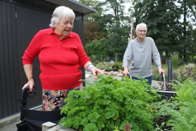 Rosemarie Eckhoff (links) und Gisela Eberhardt zeigen die &uuml;ppig wachsende Petersilie im Hochbeet des Gartens. Das Beet ist so konstruiert, dass Rollst&uuml;hle und Rollatoren darunter fahren k&ouml;nnen. 