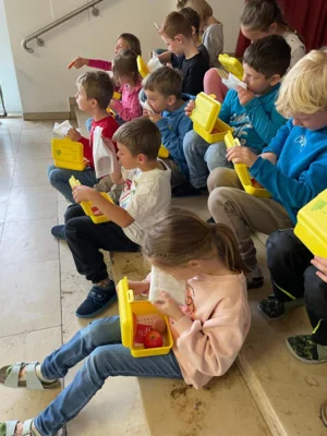 Foto des Albums: Biobrotboxen für die Schulanfänger