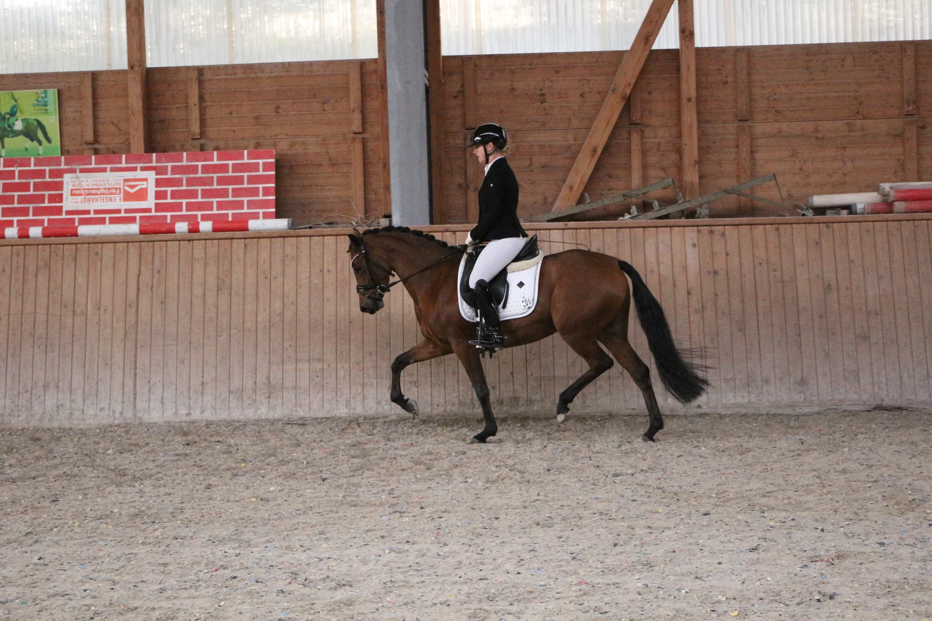 Bild: Kopfnr 1IMG 3522