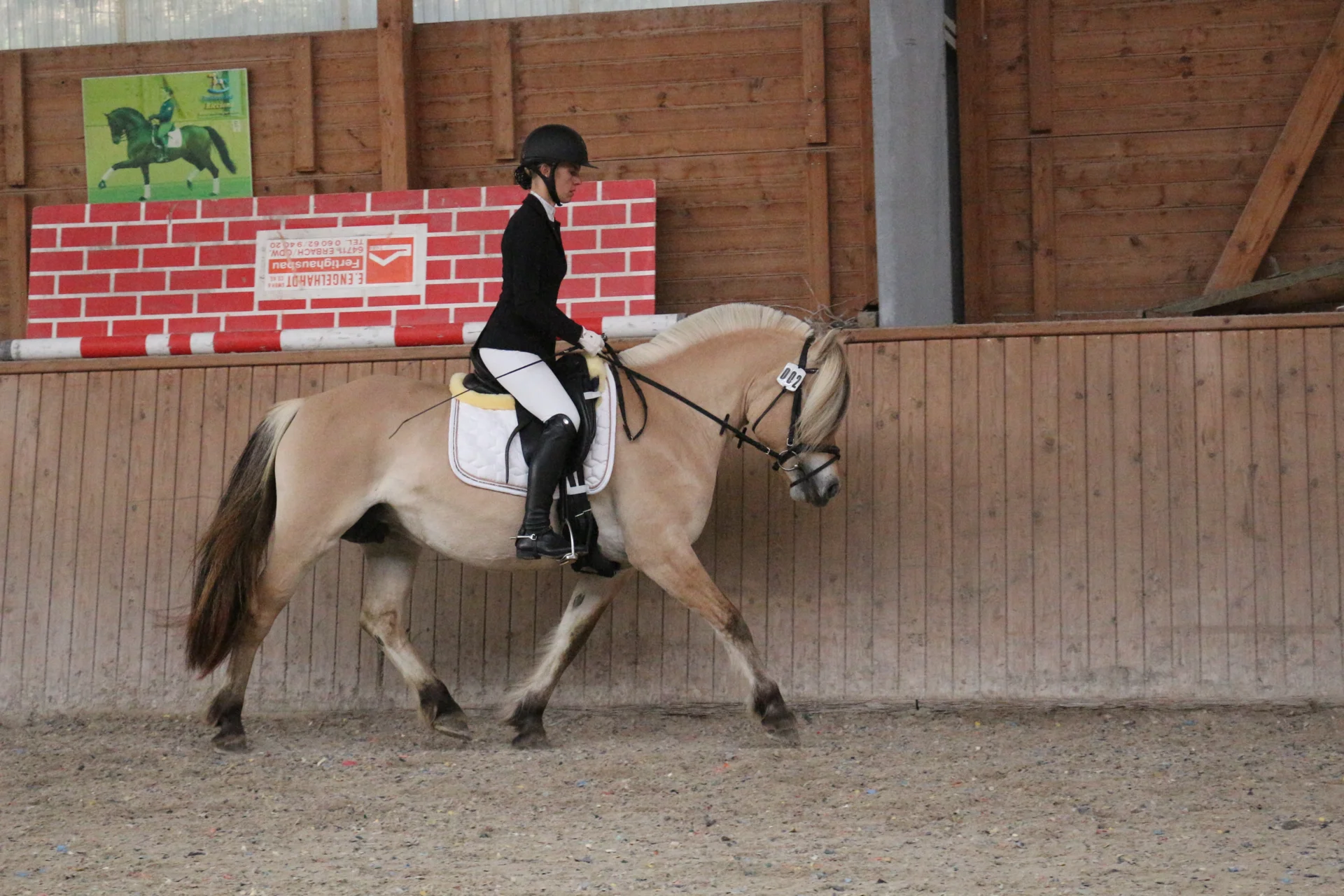 Bild: Kopfnr 2IMG 3489