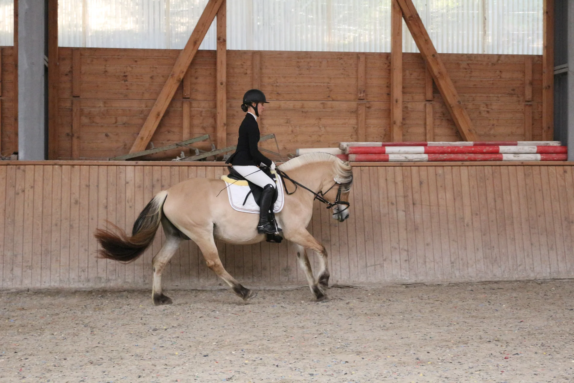 Bild: Kopfnr 2IMG 3510