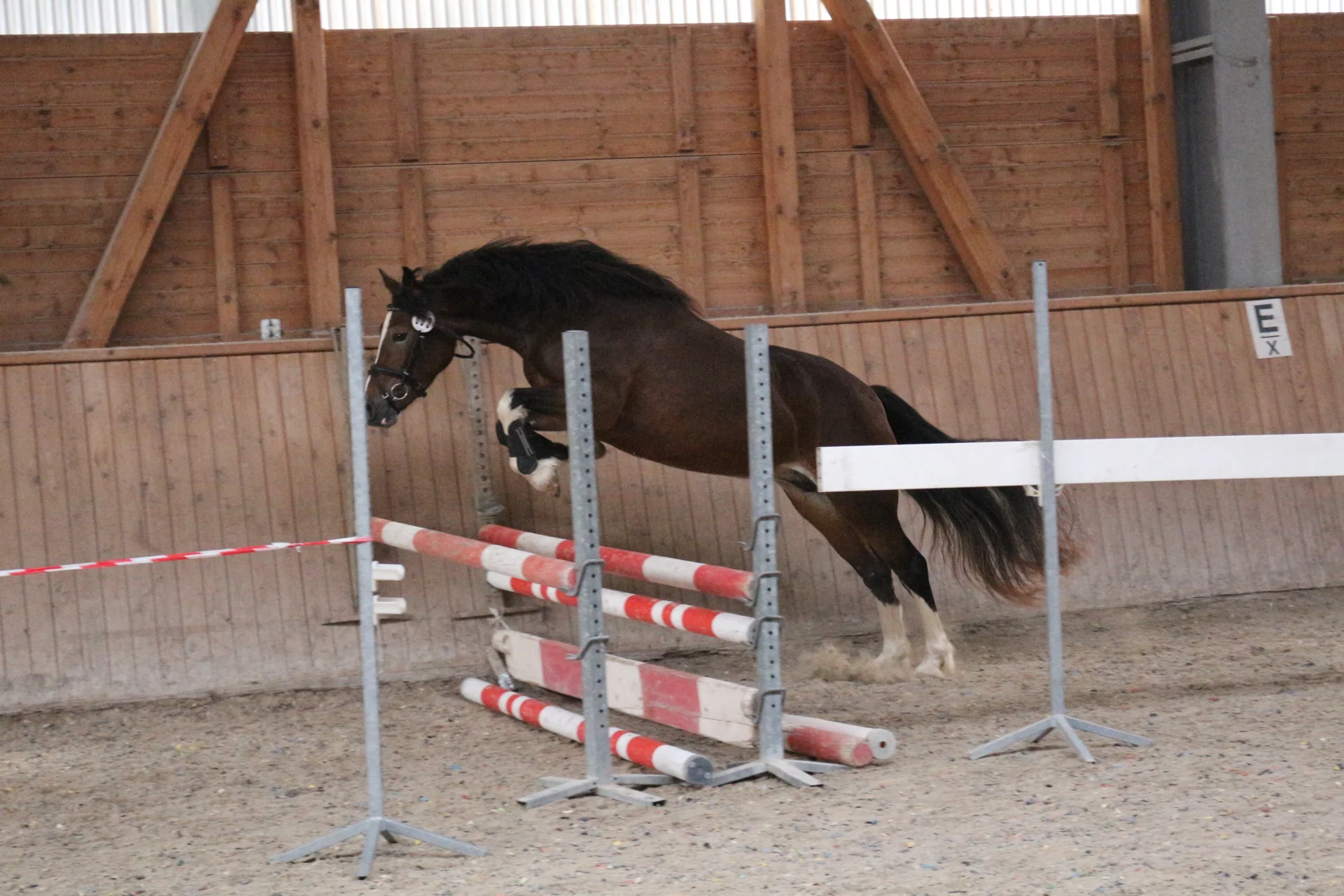 Bild: Kopfnr 3IMG 3449