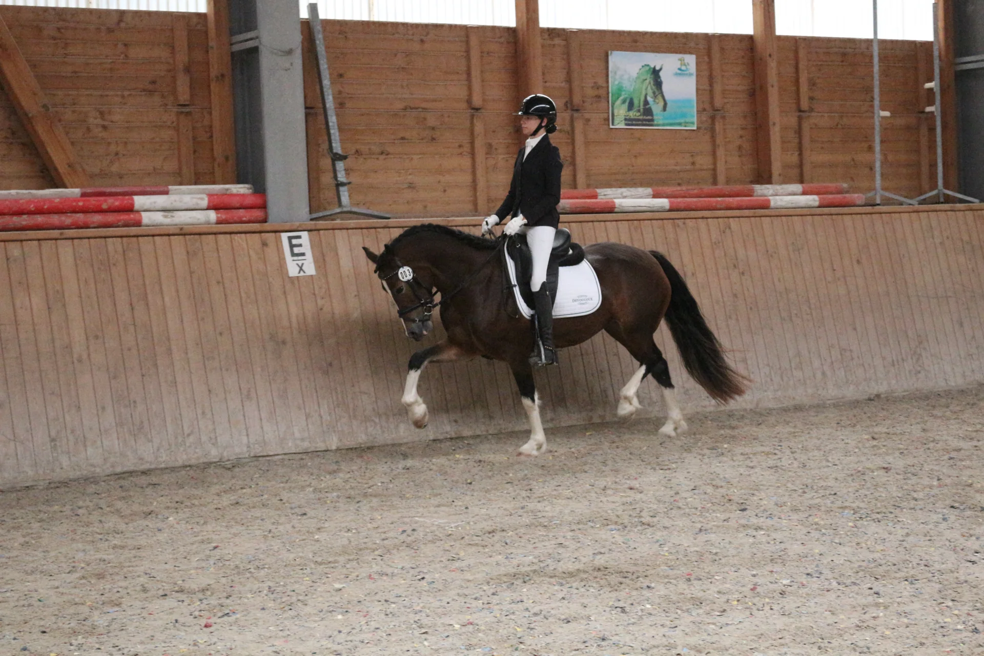 Bild: Kopfnr 3IMG 3549