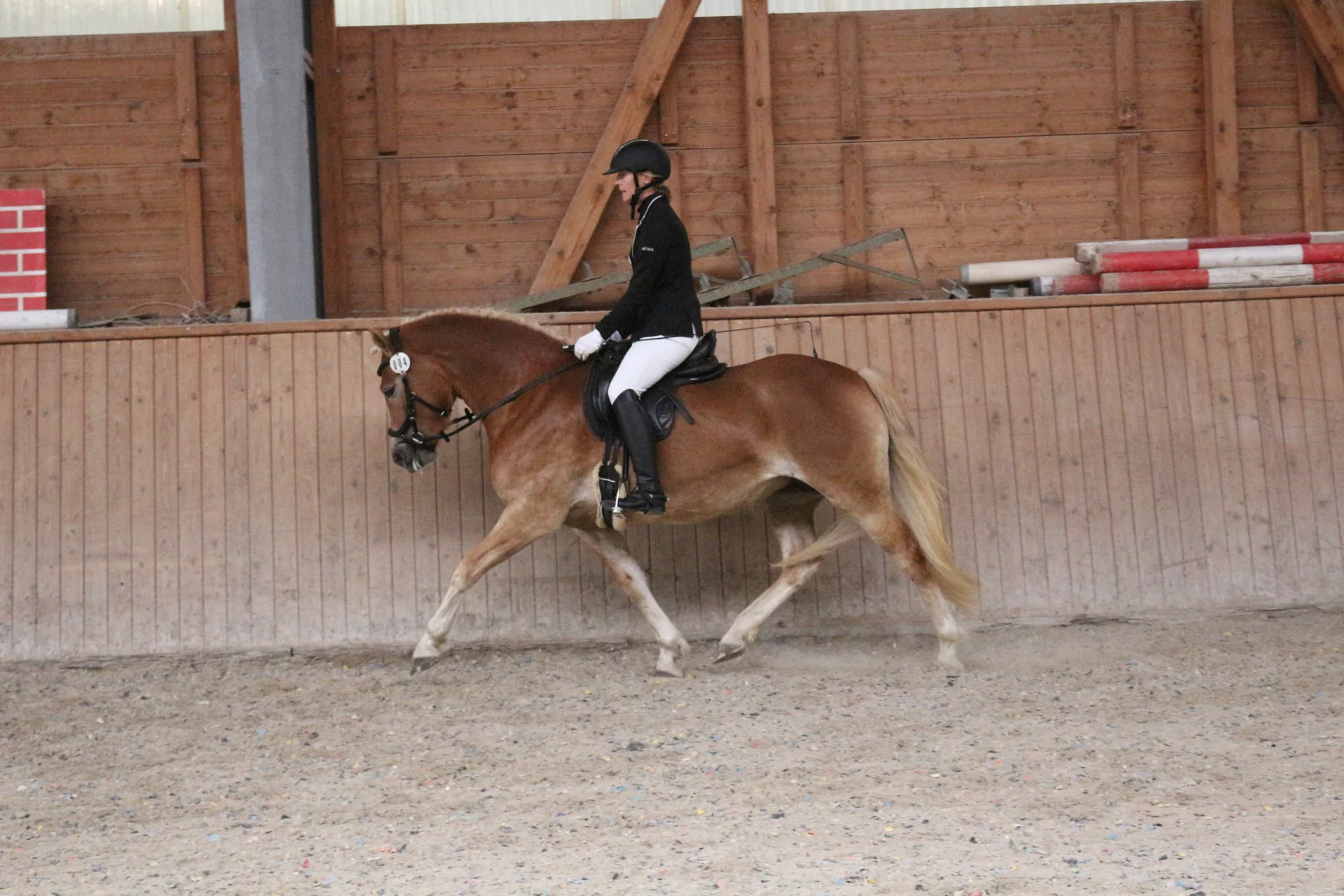 Bild: Kopfnr 4IMG 3570