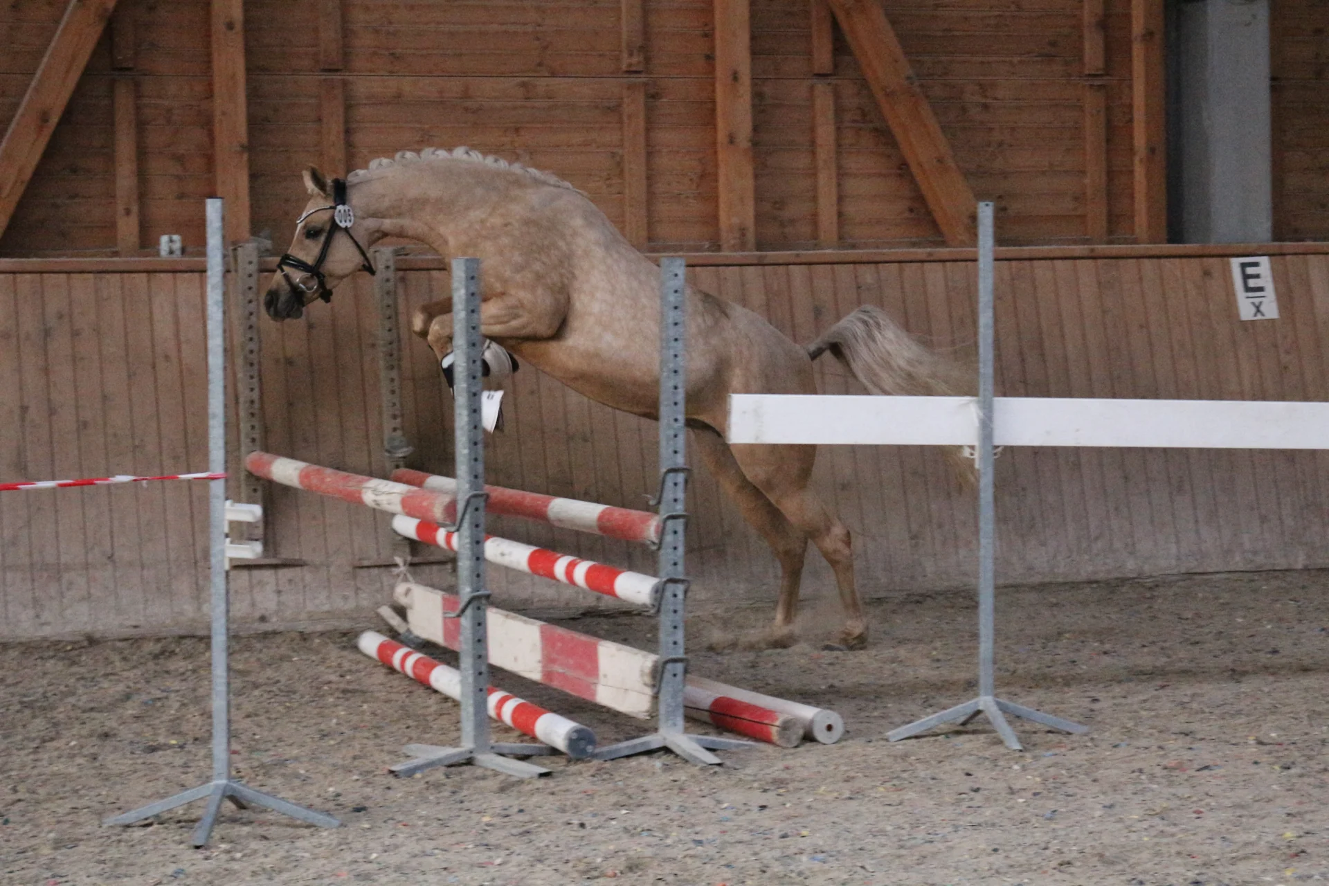 Bild: Kopfnr 5IMG 3484