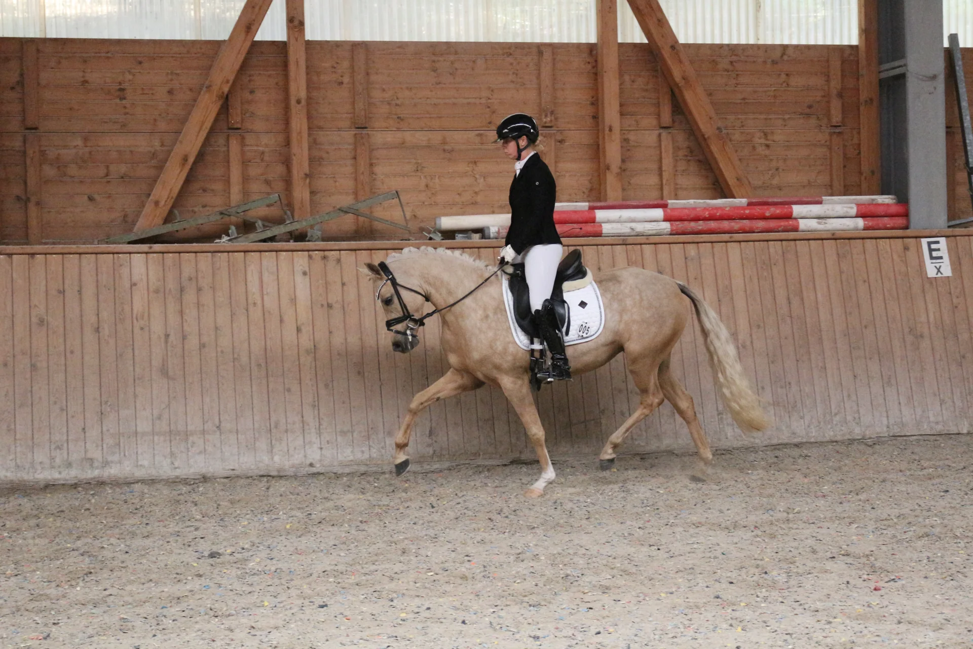 Bild: Kopfnr 5IMG 3591