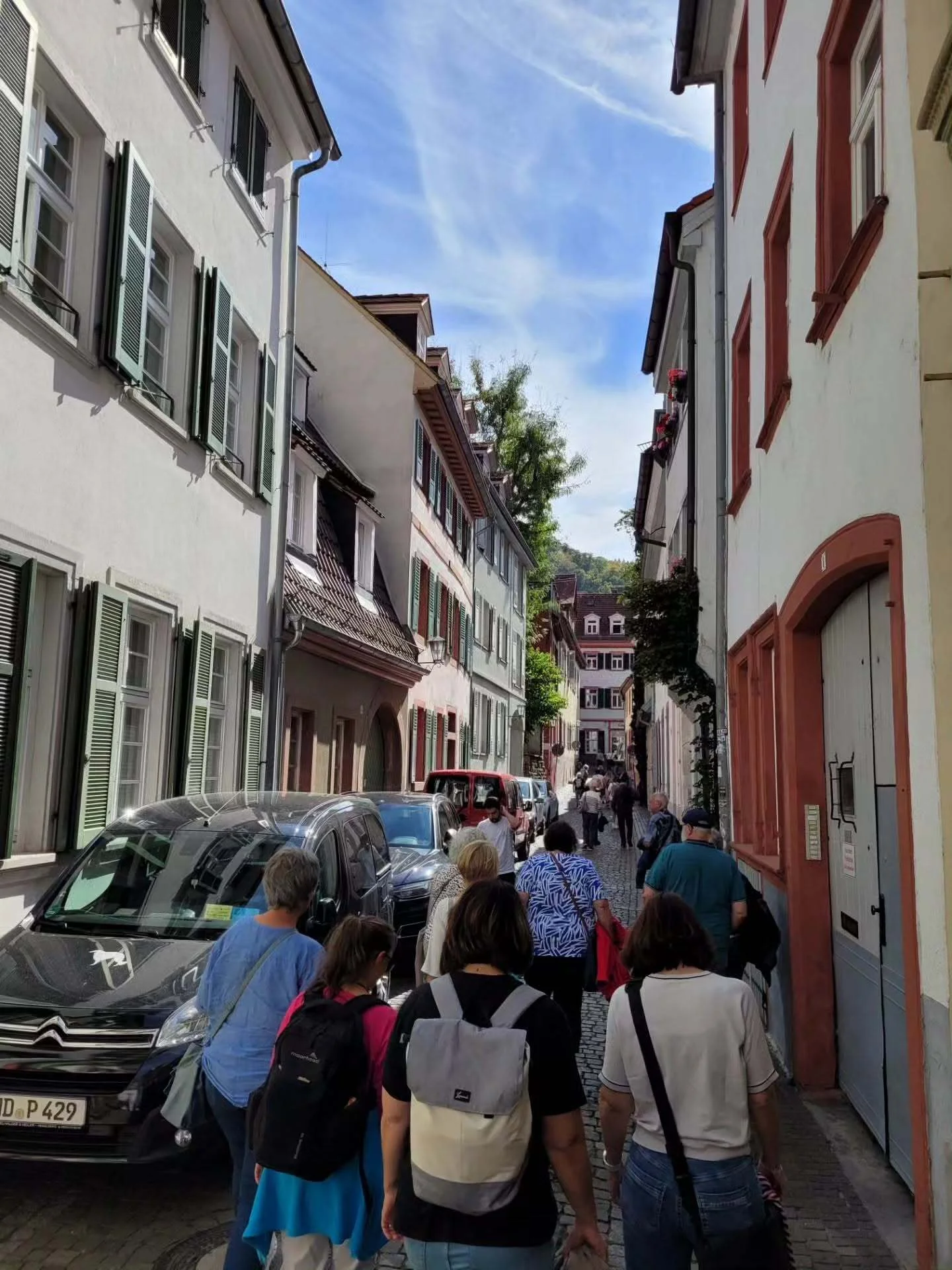Bild der Galerie