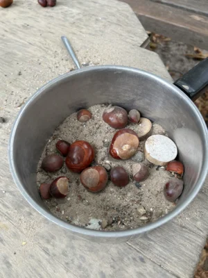 Foto des Albums: Herbst 2026