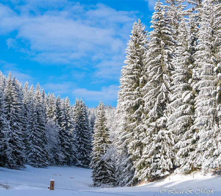 Tambach Startseite - Tourismus - Stadt Tambach-Dietharz