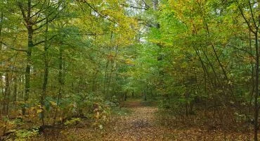 Herbst
