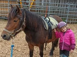 Pferd mit Kind