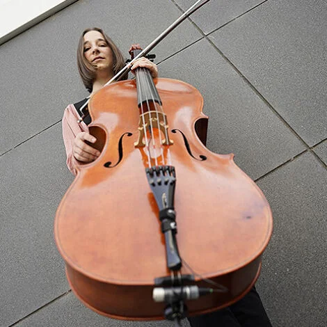 cellistin