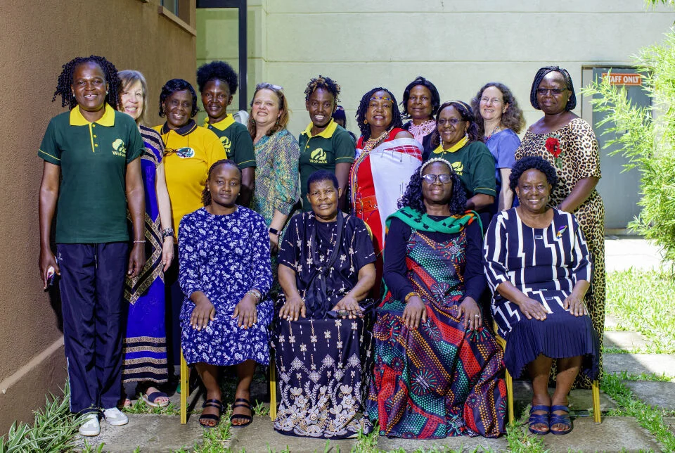 Kisumu -Kenya, Sambia, Uganda, Tansania and Germany