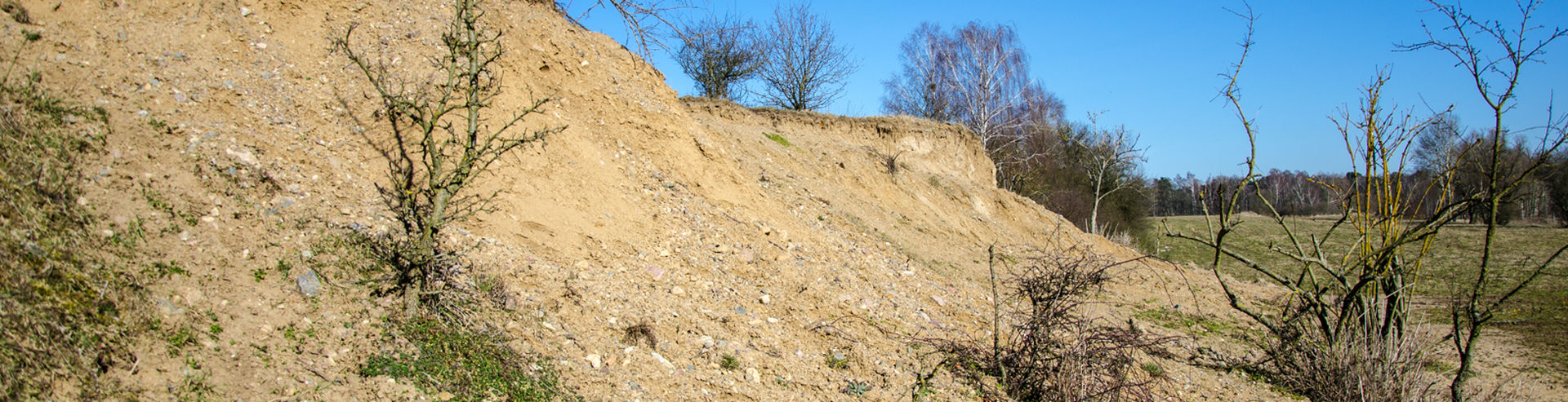 Bannerbild | zur Startseite